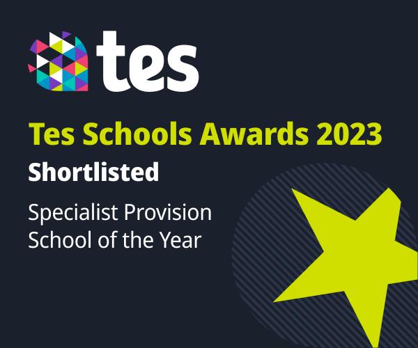 LVS Hassocks TES Award logo