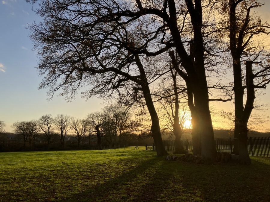 LVA hassocks sunset