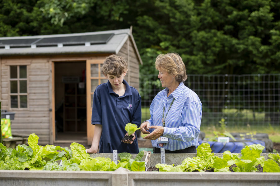 lvs hassocks campus horticulture