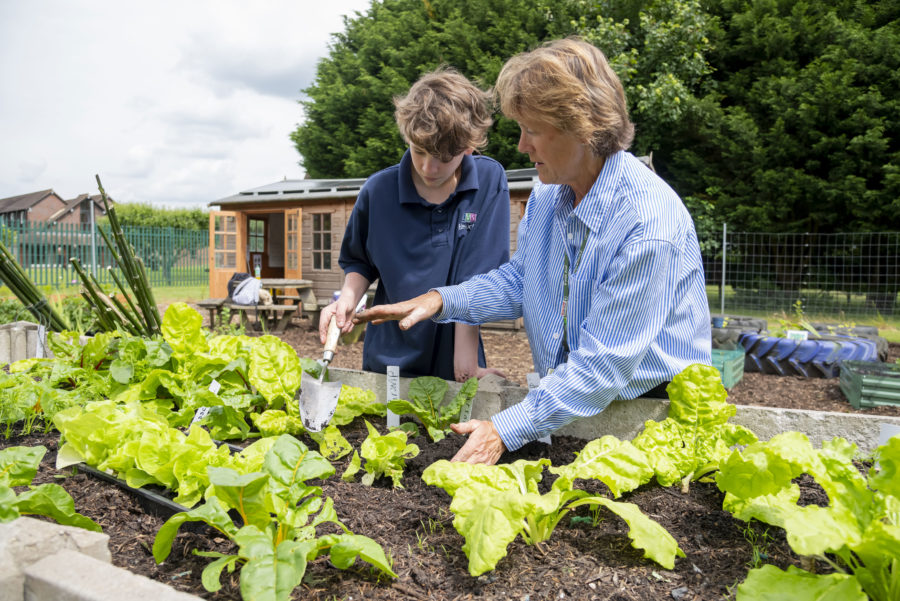 lvs hassocks horticulture
