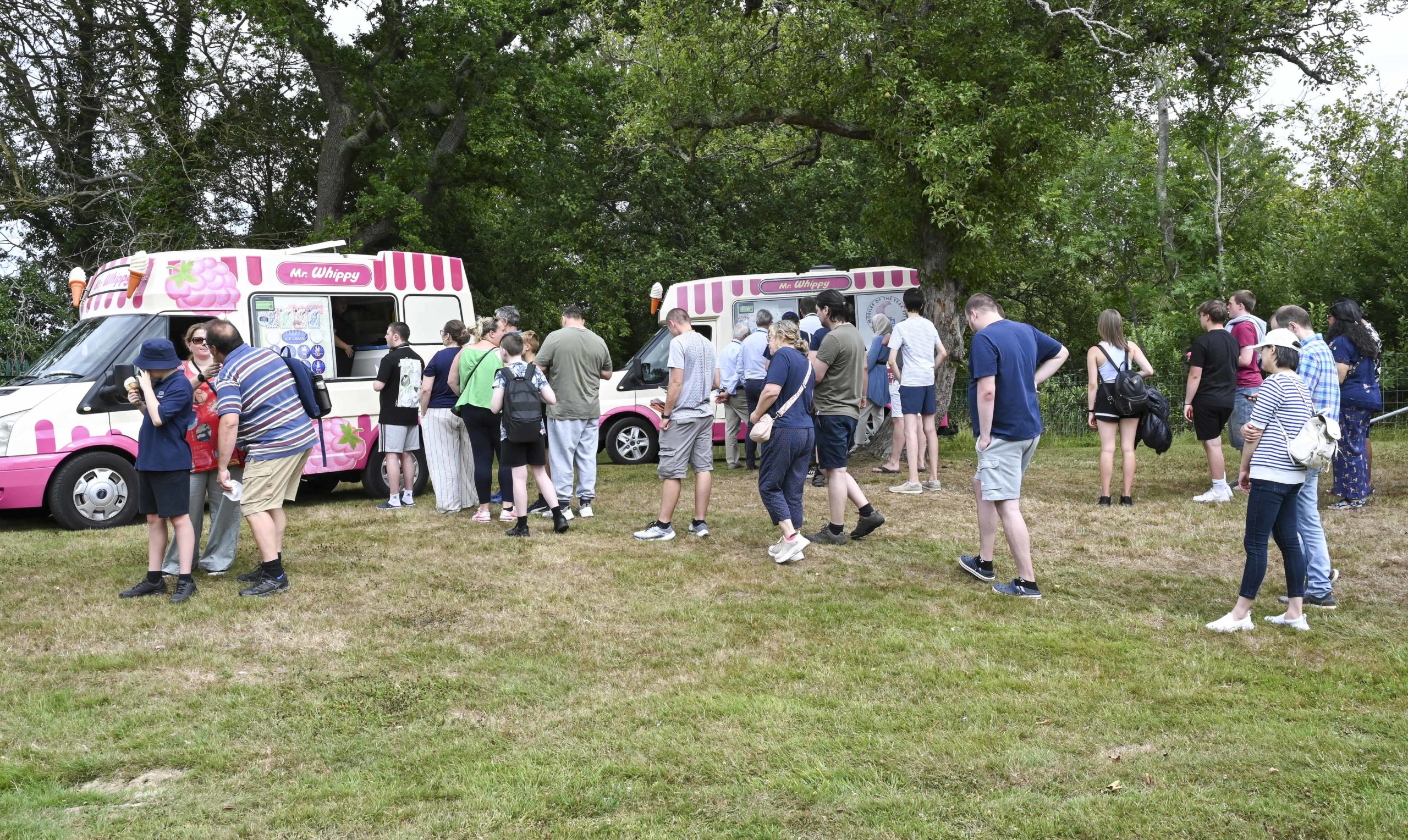 lvs hassocks summer sharing